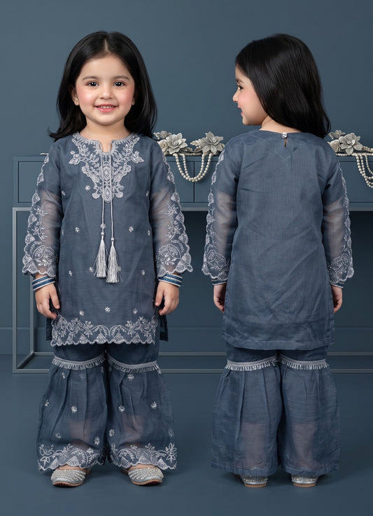Chiffon cutwork Style Suit 3-Pcs