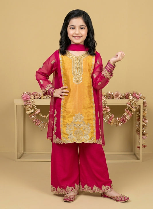 Fancy Chiffon girls 3-Pcs Suit