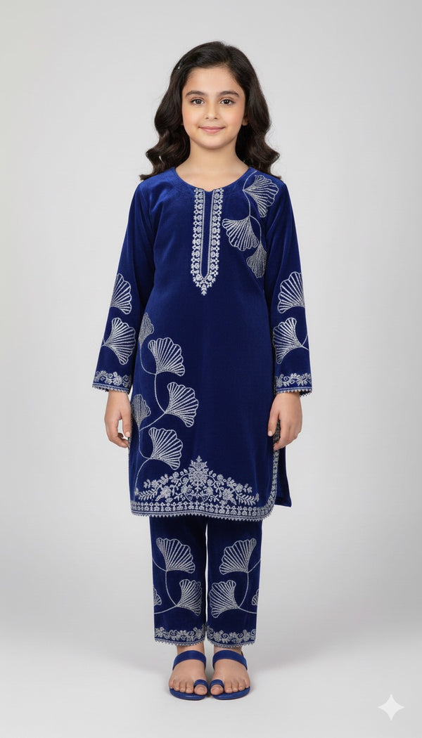WINTER FESTIVE VELVET EMBROIDERED OUTFIT FOR GIRLS – WHOLESALE ONLY