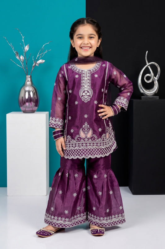Luxury Shesha Silk Embroidered 3-Piece Festive Collection | Pehnavaa Store