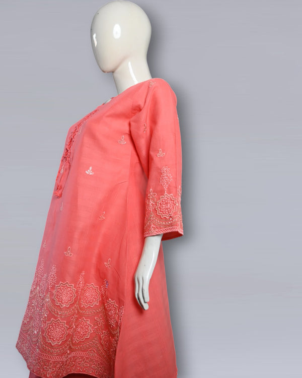 2 PC SITARI EMBROIDED WORK and FRONT DESIGN