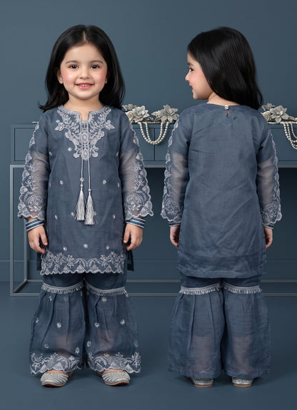 Chiffon cutwork Style Suit 3-Pcs