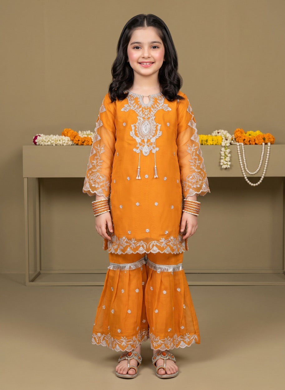 Chiffon cutwork Style Suit 3-Pcs