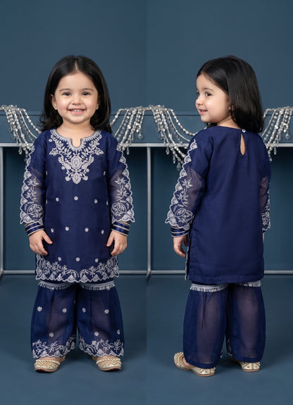 Chiffon cutwork Style Suit 3-Pcs