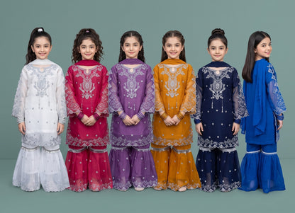 Chiffon cutwork Style Suit 3-Pcs