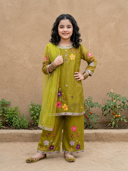 Fancy Chiffon Embroidered girls 3-Pcs  Suit