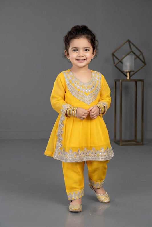 Kids Chiffon silver Embriodery Style Suit