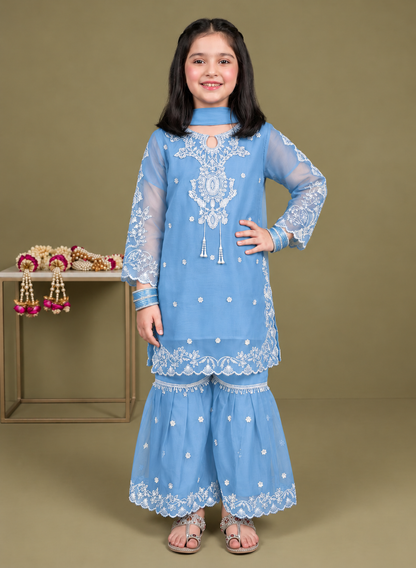 Chiffon cutwork Style Suit 3-Pcs
