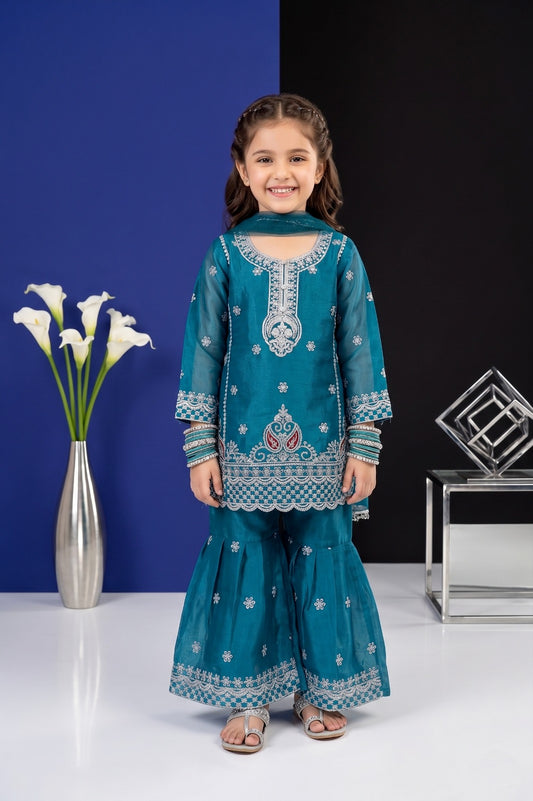 Luxury Shesha Silk Embroidered 3-Piece Festive Collection | Pehnavaa Store