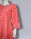 2 PC SITARI EMBROIDED WORK and FRONT DESIGN